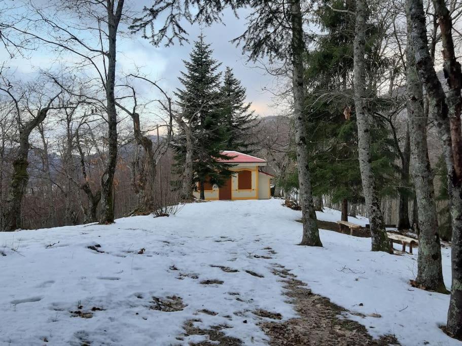 فيلا Casa Del Castagno: Un Nido Nel Castagneto بستويا المظهر الخارجي الصورة